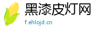 黑漆皮灯网